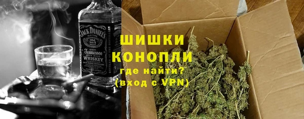PSILOCYBIN Инта
