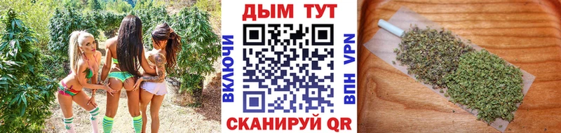 Купить закладки  Гаврилов-Ям  Каннабис семена 